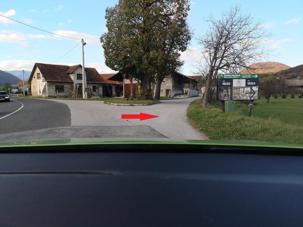 Guesthouse Braslovce - Celje المظهر الخارجي الصورة