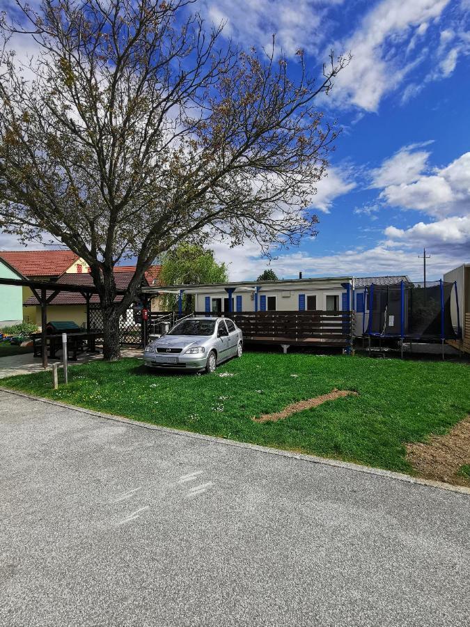Guesthouse Braslovce - Celje المظهر الخارجي الصورة