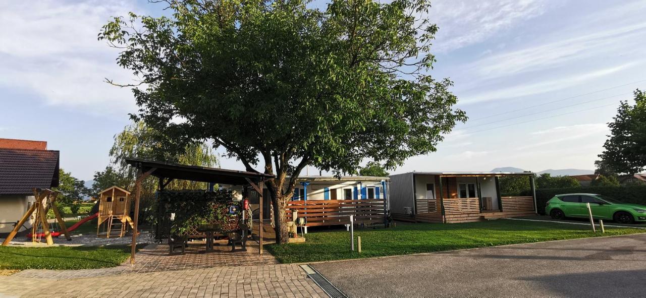 Guesthouse Braslovce - Celje المظهر الخارجي الصورة